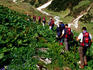 Overhead of hikers in Kackar Mountains near Yukari Kavron.