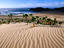 Nature and Marine Reserve, South Africa