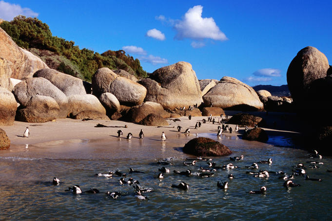 South Africa image gallery - Lonely Planet