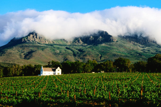 Cape Dutch colonial manor house and vineyard with mountain backdrop, Dornier.