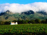 Cape Dutch colonial manor house and vineyard with mountain backdrop, Dornier.
