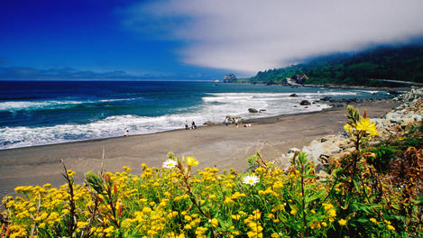 Image_20786-6