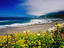 Image_20786-6