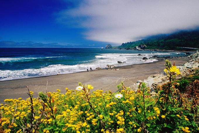 Downtime in Silicon Valley
