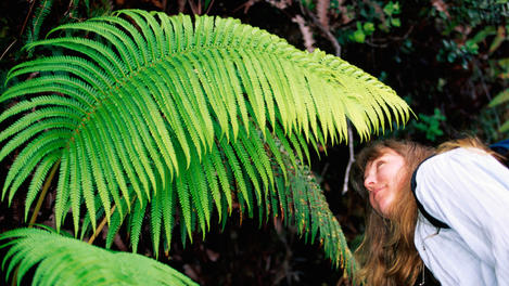 Hawaiʻi Volcanoes National Park Image Gallery