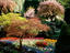 Butchart Gardens, Vancouver Island
