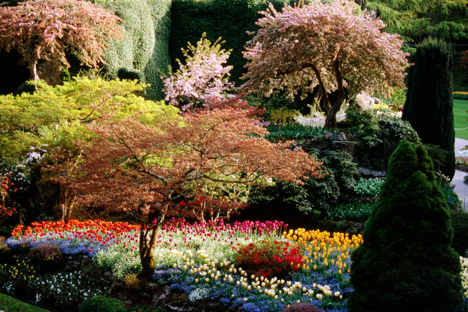Butchart Gardens.