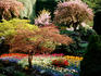 Butchart Gardens.