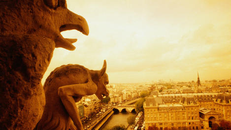 Image_20844-11