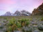Image_20862-22