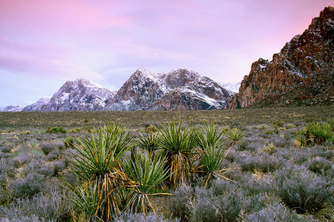 Red Rock Canyon in winter.