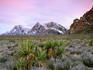 Red Rock Canyon in winter.
