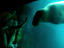 Image_20884-32