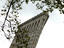 Image_20884-54