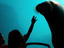 Image_20885-126