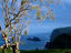 Image_20890-49