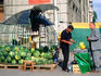 Azerbaijani selling watermelons.