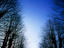 Image_20915-9