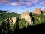 Rock formations and pine forest, Needles Highway Scenic Drive, Custer State Park.