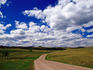 Wildlife Loop through rolling prairie, Custer State Park.