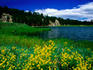 Lakota Lake, Black Hills National Forest.