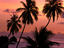 Image_20990-1
