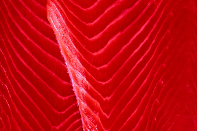 Detail of Norwegian salmon at fish market.