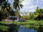 Traditional rice barge plying the backwaters near Kollam, Kerala, India.