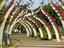 Grand Arbour, Brisbane