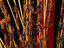 Image_21022-4