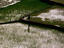 Image_21027-12