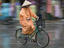 Image_21031-4