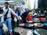 People shopping at Porta Nolana's seafood market.