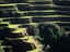 Rice terraces, Ifugao Province, Philippines