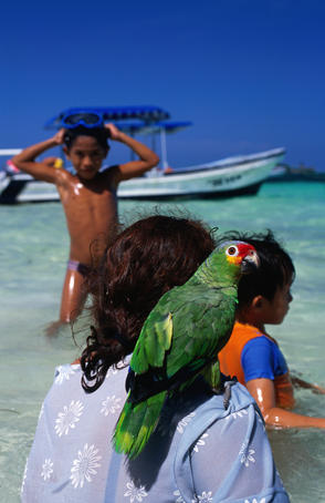 Pet parrot with family at beach, Cancun area.
