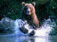 Kinak Bay, Alaska