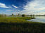 Yellow Waters wetlands.
