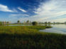 Yellow Waters wetlands.