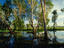 Yellow Waters wetlands.