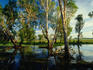 Yellow Waters wetlands.