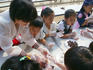 Children making Tteok during Traditional Korean Food Festival.