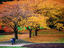 Image_21196-31