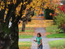 Sweeping leaves on neighbourhood street, Commercial Drive.