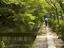 Image_21204-24