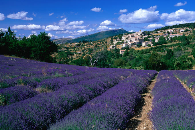 The ultimate Provence trip planner