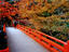 Saimyo-ji, Kyoto