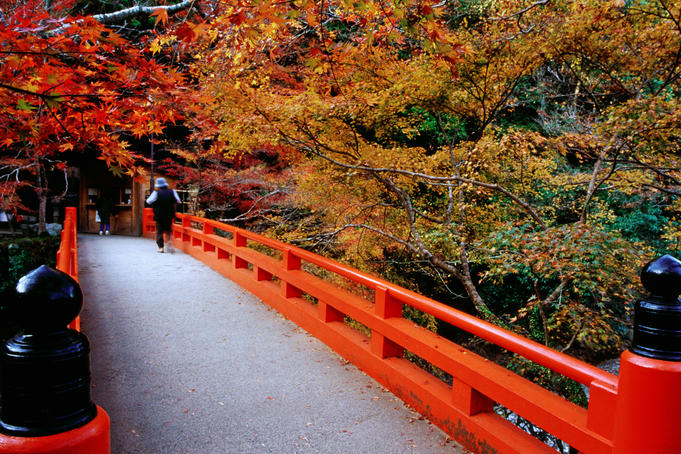 Bridge leading to Saimyo-ji.