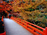 Bridge leading to Saimyo-ji.