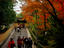 Image_21224-36