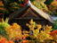 Image_21224-41